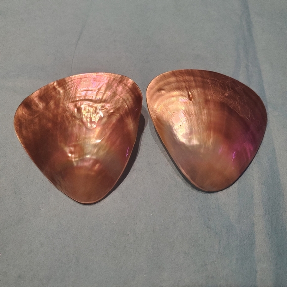 Shell earrings, pierced - Picture 1 of 4